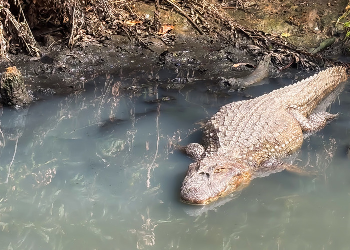 1 Dzień: Dzikie Rio