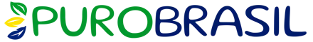 English Guide Rio logo