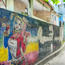 Rio De Janeiro Girl Mural Favela Vidigal